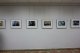 Фотоклуб «Открытая диафрагма» приглашает на выставку «Демиурги»