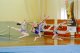 День открытых дверей на факультете физической культуры, посвященный всероссийскому Дню гимнастики, 26 октября 2017 г.