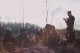 Итоги поисковой экспедиции «Вороново – 2018» Итоги поисковой экспедиции «Вороново – 2018»