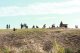 Фестиваль "Волжский рубеж" учебного военно-патриотического лагеря "Поисковая смена", 15 сентября 2018 г.