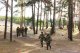 Фестиваль "Волжский рубеж" учебного военно-патриотического лагеря "Поисковая смена", 15 сентября 2018 г.