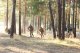 Фестиваль "Волжский рубеж" учебного военно-патриотического лагеря "Поисковая смена", 15 сентября 2018 г.