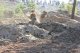 Фестиваль "Волжский рубеж" учебного военно-патриотического лагеря "Поисковая смена", 15 сентября 2018 г.