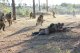 Фестиваль "Волжский рубеж" учебного военно-патриотического лагеря "Поисковая смена", 15 сентября 2018 г.