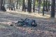 Фестиваль "Волжский рубеж" учебного военно-патриотического лагеря "Поисковая смена", 15 сентября 2018 г.