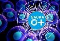 12 октября – открытие VIII Всероссийского Фестиваля науки NAUKA 0+ в ЧГПУ 