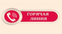 Горячая  линия по  вопросам организации дистанционного обучения,  мер  социальной поддержки и проживания в общежитии