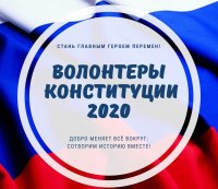 Волонтеры Конституции ЧГПУ проходят онлайн-обучение Волонтеры Конституции ЧГПУ проходят онлайн-обучение