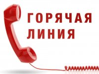«Горячая линия» Ситуационного центра Минобрнауки России