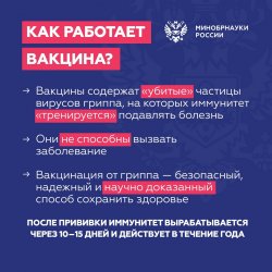 Как защитить себя и близких от гриппа? Как защитить себя и близких от гриппа?