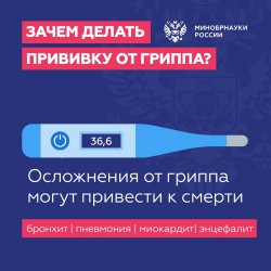 Как защитить себя и близких от гриппа? Как защитить себя и близких от гриппа?