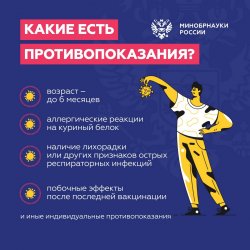 Как защитить себя и близких от гриппа? Как защитить себя и близких от гриппа?