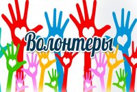 В ЧГПУ состоится обсуждение вопросов развития поддержки и мотивации добровольцев и добровольческих организаций