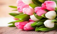 Дорогие женщины! Поздравляем вас с Международным женским днем! Дорогие женщины! Поздравляем вас с Международным женским днем!