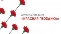 Фонд «Память поколений» проводит всероссийскую акцию «Красная гвоздика» Фонд «Память поколений» проводит всероссийскую акцию «Красная гвоздика»