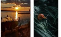 Итоги Международного конкурса фотографии «Сохраненное.jpg»