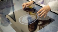 Неделя профориентации. Ближе к науке Неделя профориентации. Ближе к науке