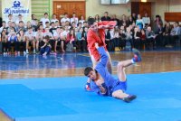 Курсы повышения квалификации по самбо Курсы повышения квалификации по самбо