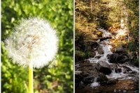 Итоги Международного конкурса фотографии «Сохраненное.jpg»